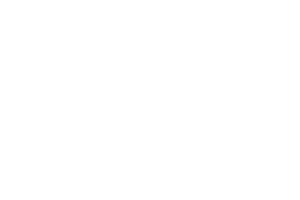 logo-de-leons-roofing-empresa-techos