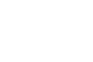 logo-javier-delgado-neuro-coach