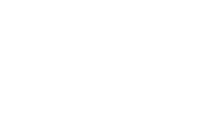 logo-princess-siluet-tienda-fajas-colombianas